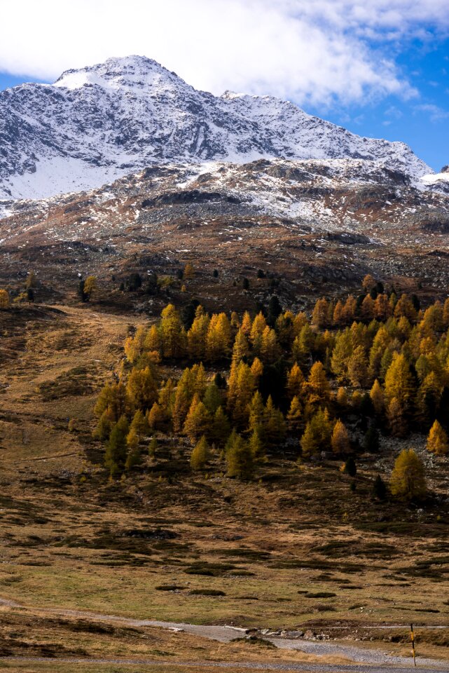 Fall color golden autumn engadin