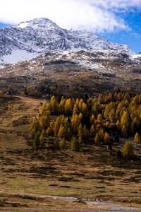 Fall color golden autumn engadin