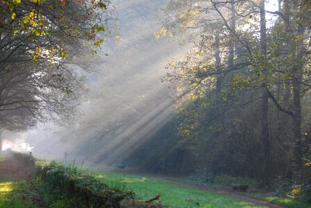 Ray of light nature ray photo