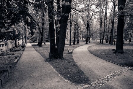 Two ways mood dark
