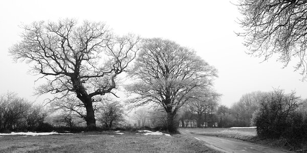 Rim frost landscape photo