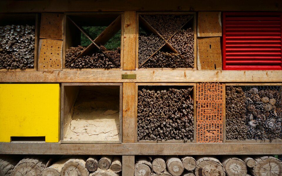 Box nature conservation insect asylum