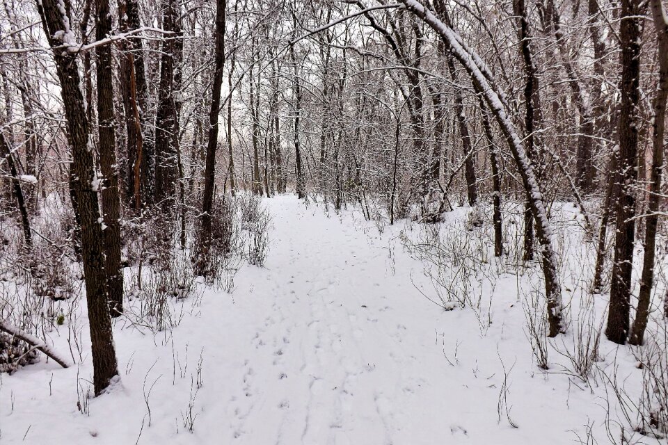Grey snow cold