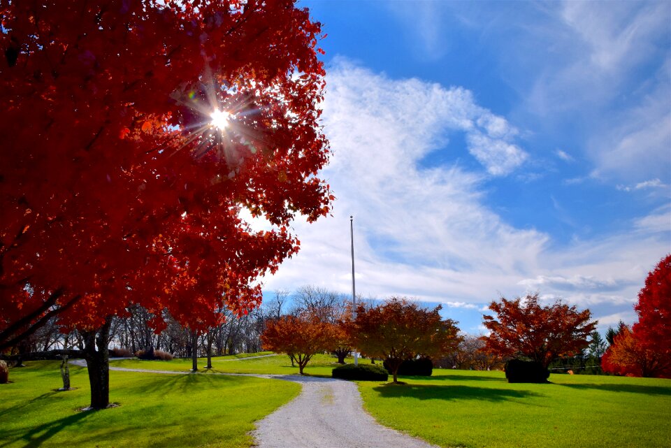 Autumn landscape green