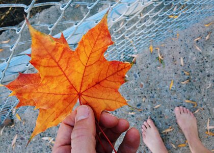 Fall season
