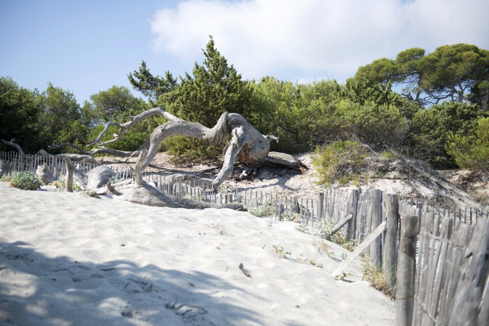 Nature travel sand