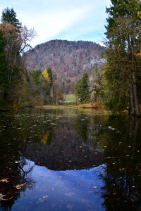 Mirroring landscape water