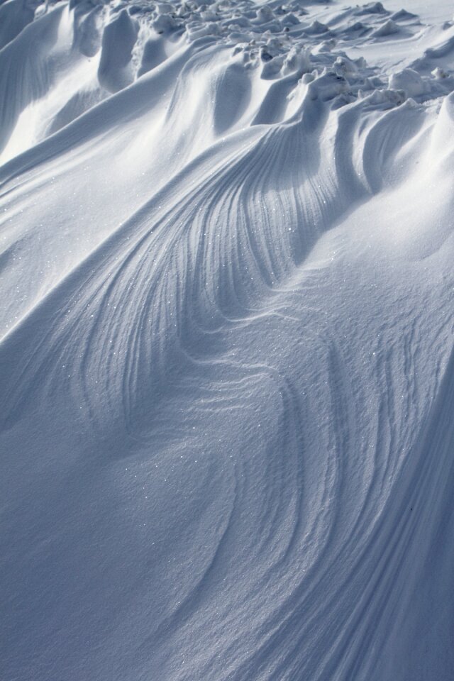 Biel winter nature