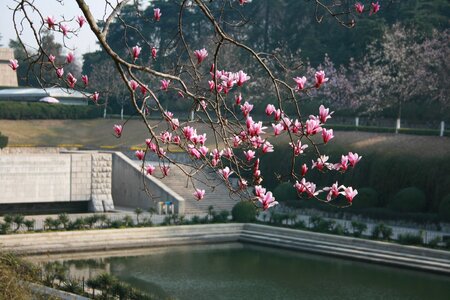 Spring cemetery the sun is shining photo