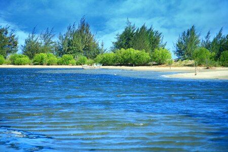 The most beautiful scenery in south institute natural beauty scenic indoor cup photo