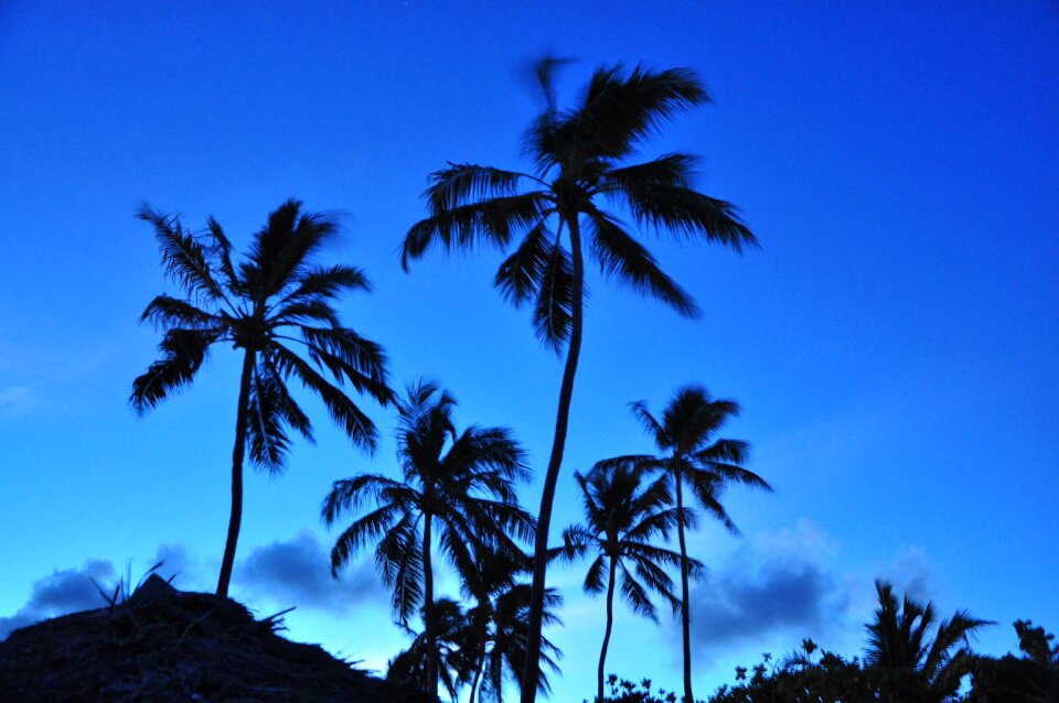 Tropical sea ocean