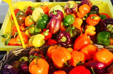 Produce colorful vegetables