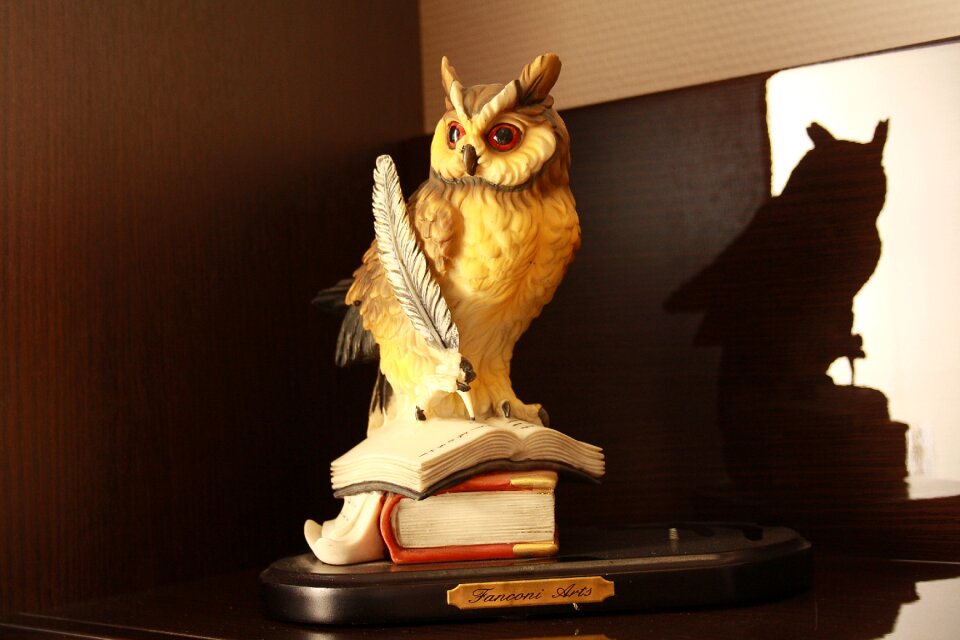 Wisdom owl figurine