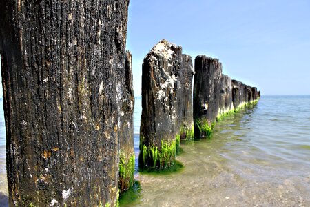 Breakwater algae green