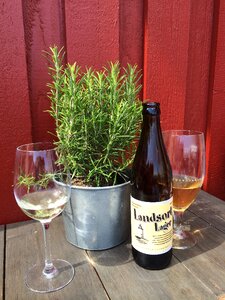 Patio rosemary beer