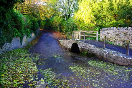 Autumn road
