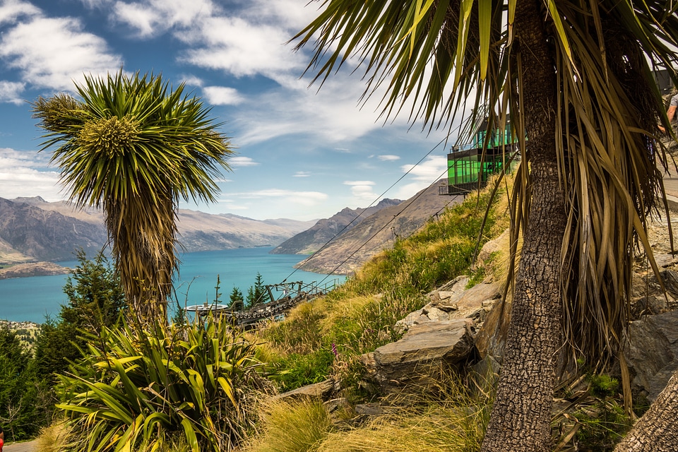 Coast landscape wilderness
