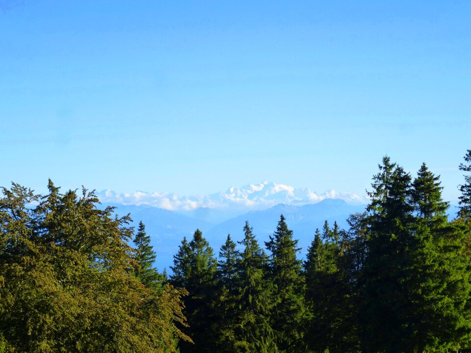 Blue mountains nature