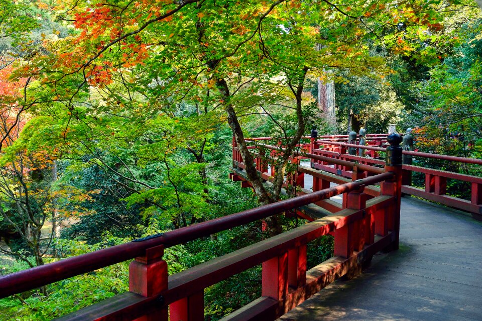 Outdoors views of japan k