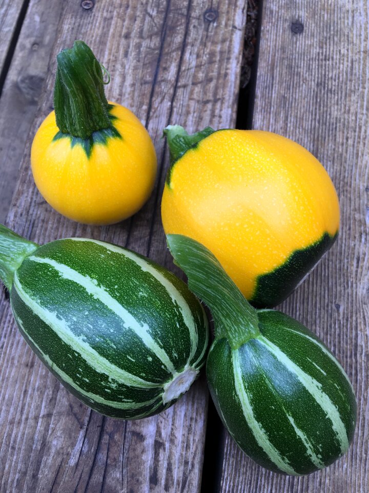 One ball summer squash deck
