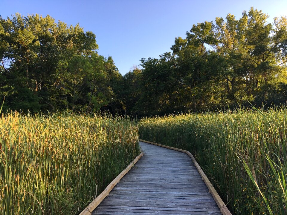 St louis park minnesota