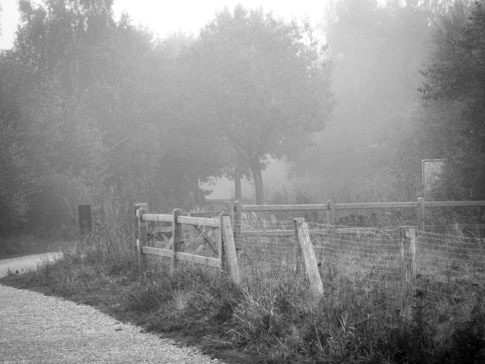 Nature parklandschaft summer