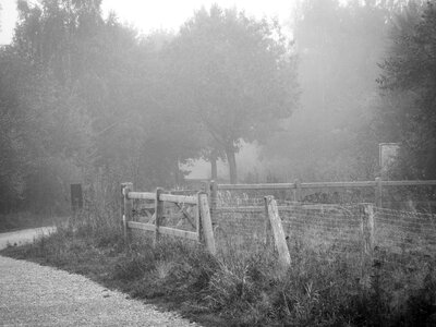 Nature parklandschaft summer