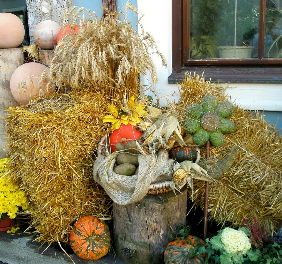 October colorful straw