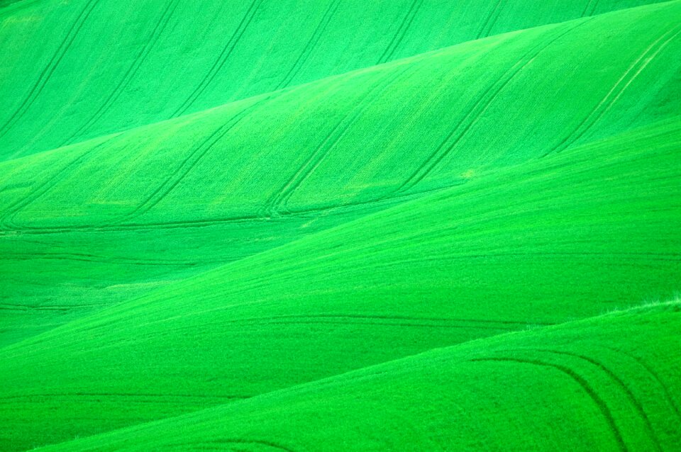 Agriculture green hills