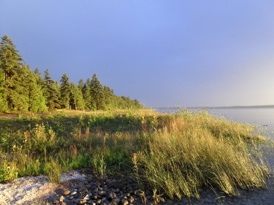 Shore lake