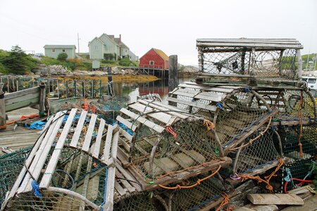 Wharf fishery photo