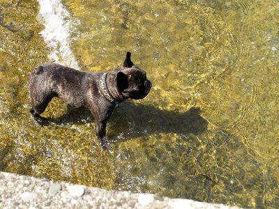 Fun cooling sunny day