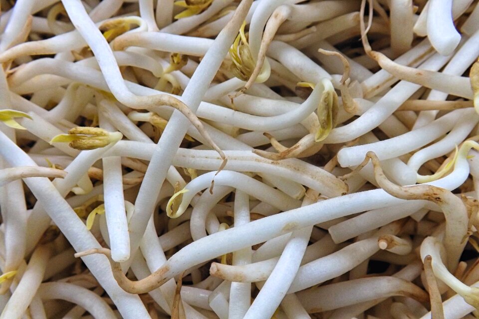 Food mung beans vegetables