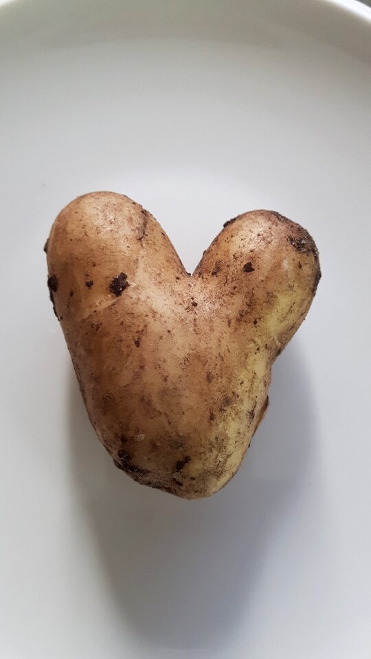 Funny fashion vegetables