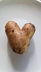 Funny fashion vegetables
