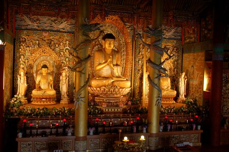 Buddha buddhist temple buddhism photo