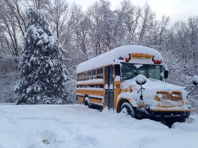 School transportation landscape