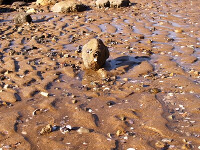 Stone zen-like nature photo