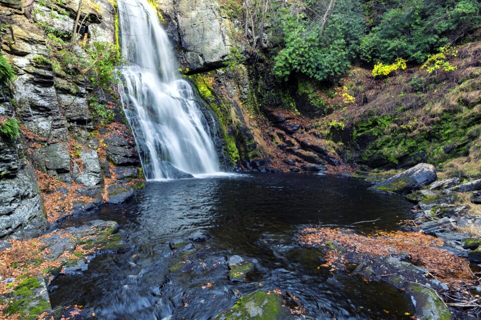 Water mountain forest photo