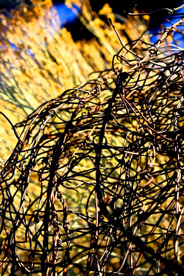 Fence wire barbed photo