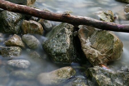 Nature flow splash