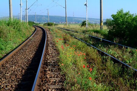 Grass nature railway