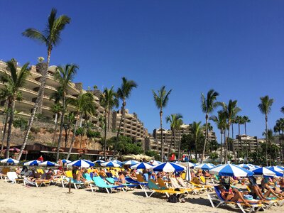 Beach canary islands photo