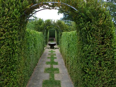 Ornamental hedge romantic