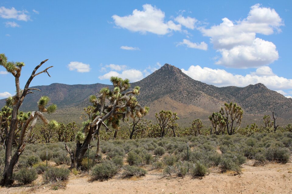 Las vegas landscape grand canyon