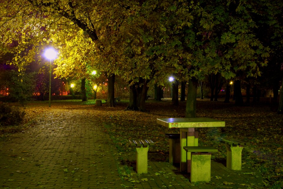 Lamp dining table sleep