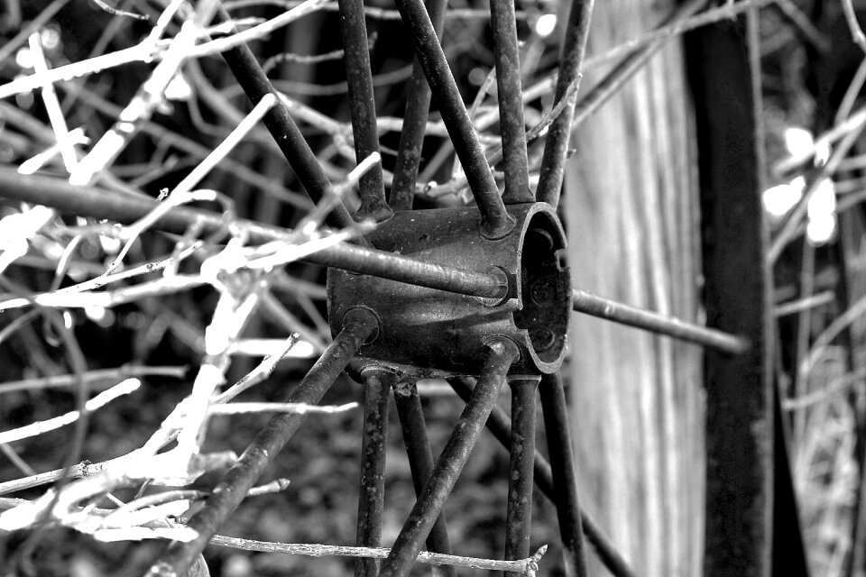 Wagon wheel transportation