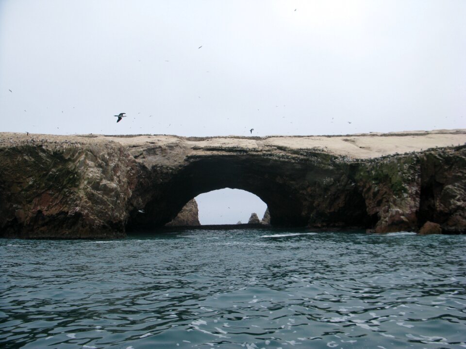 Ica region national reserve costa