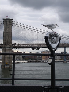 Brooklyn bridge landmark new york city photo