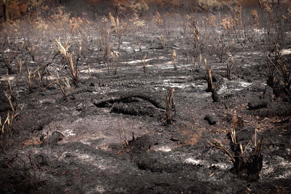 Nature burn danger
